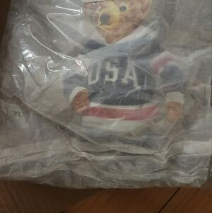 Polo by Ralph Lauren Gray USA Bear Hoodie